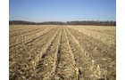 Property photo 29 - 159 Acres Offered in 7 Tracts